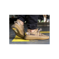 Adidas Yeezy Boost 350 V2 Earth