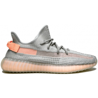 Adidas Yeezy Boost 350 V2 True Form